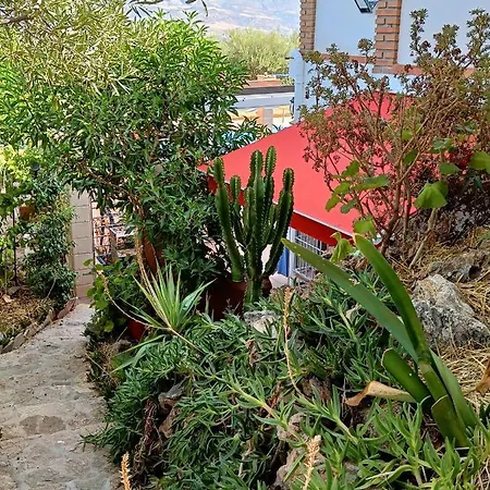 Casa Oasis * アロラ