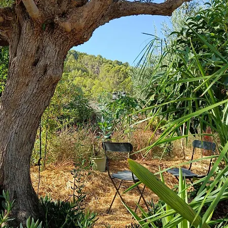 Apartmán Casa Oasis