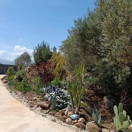 Casa Oasis Apartmán *