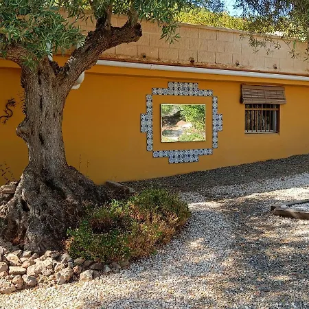 Casa Oasis Apartmán *