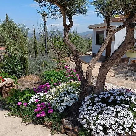 Apartmán Casa Oasis Alora