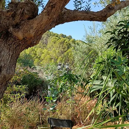 Casa Oasis *